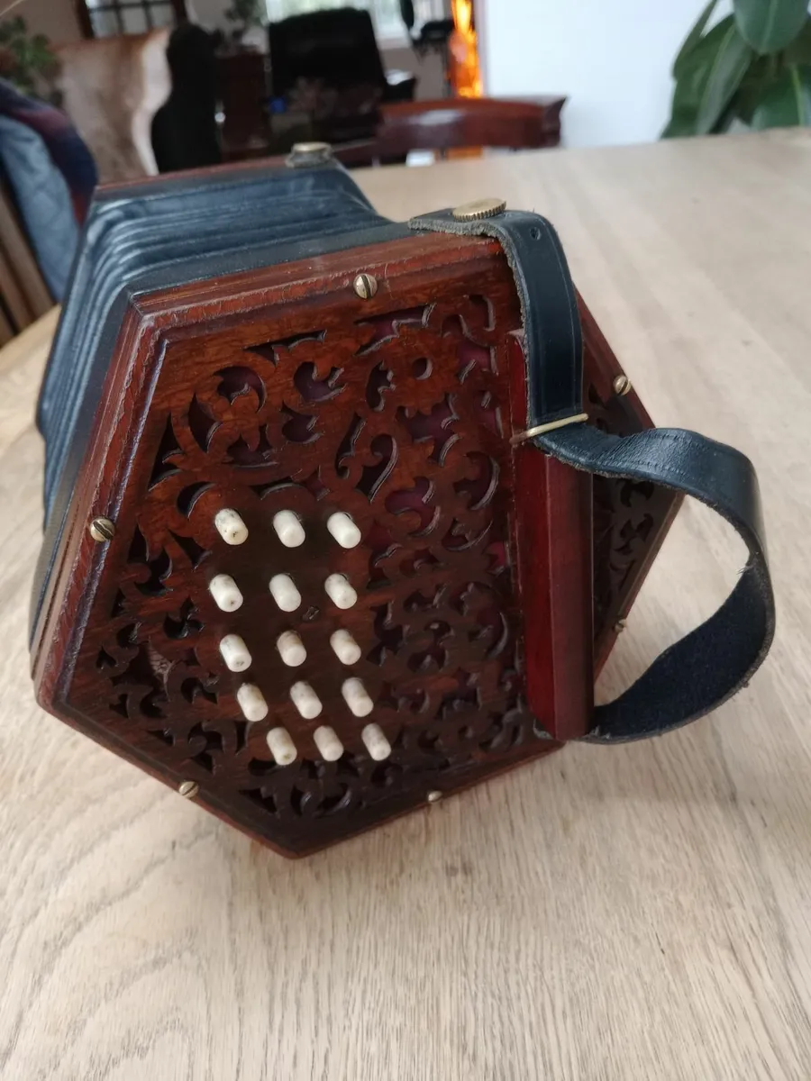 Concertina - Image 1