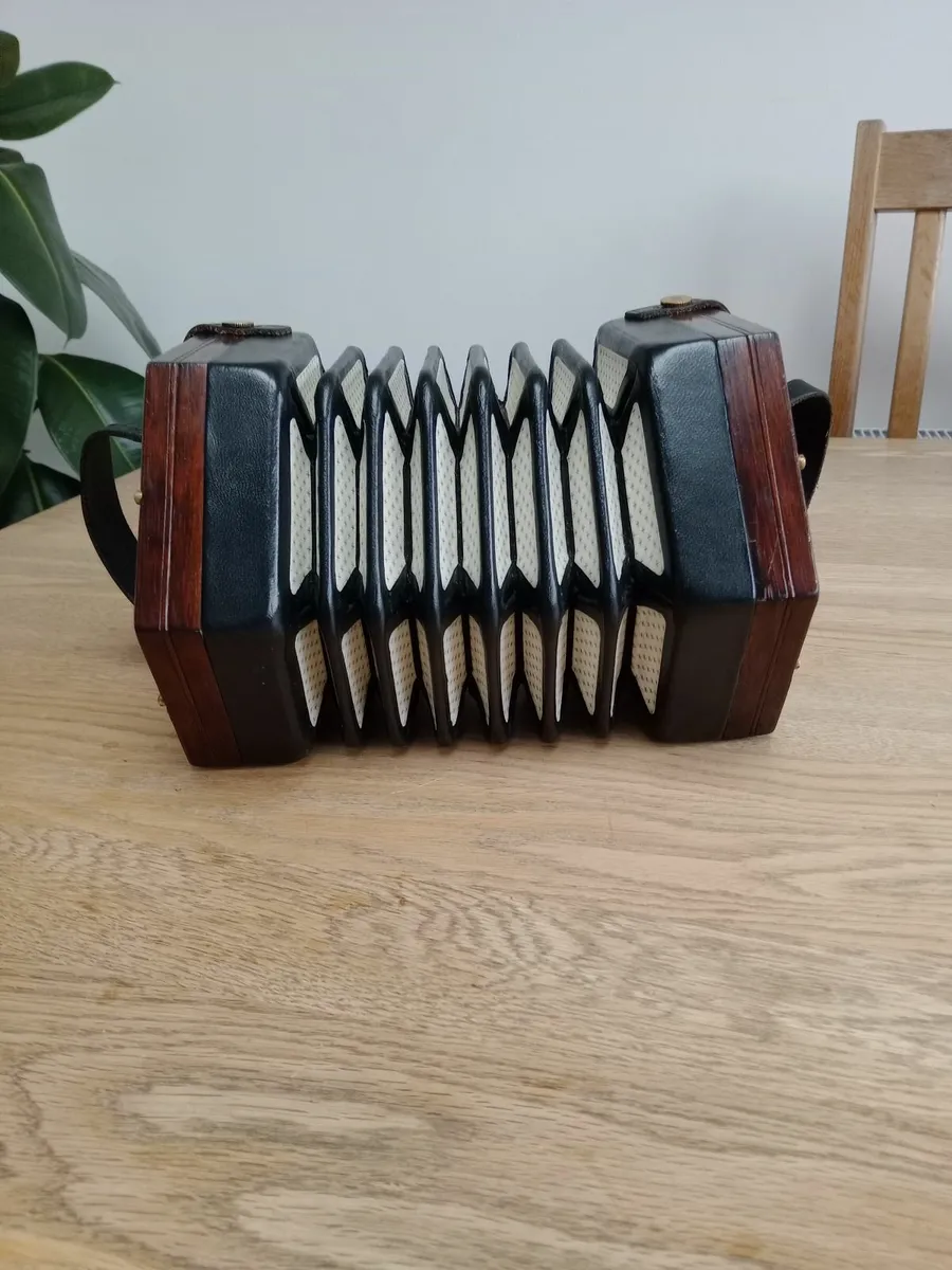 Concertina - Image 2
