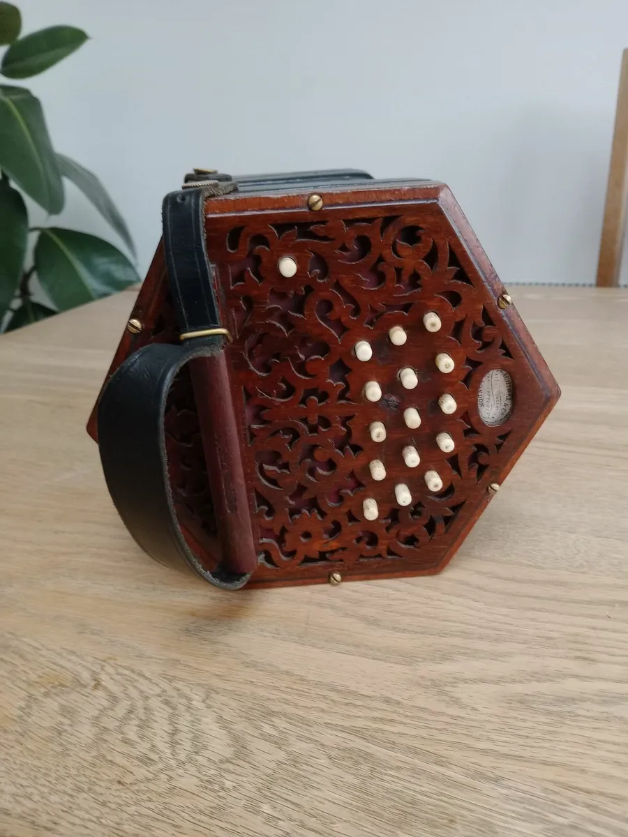 Concertina - Image 3