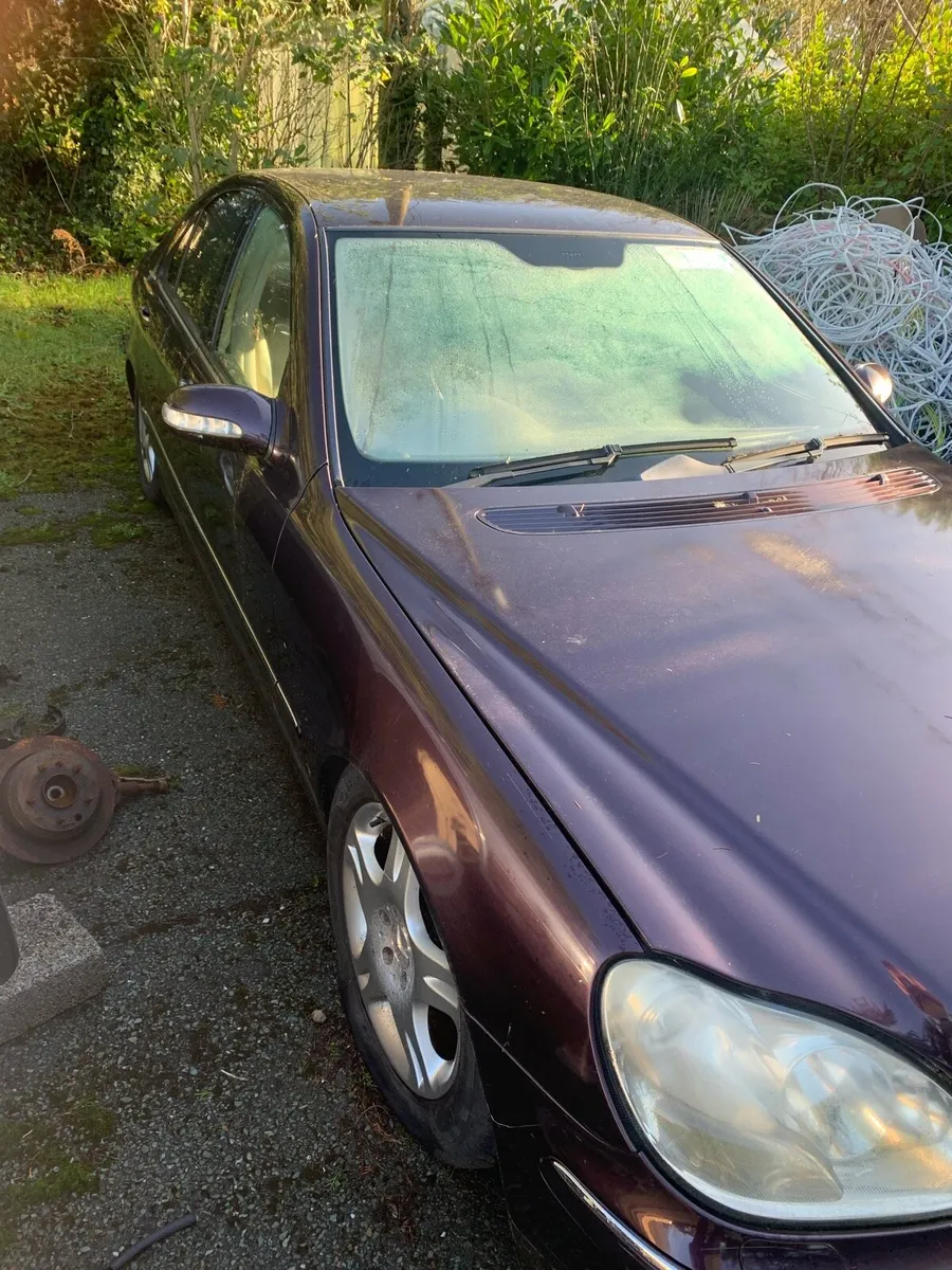 Mercedes S320 - Image 2