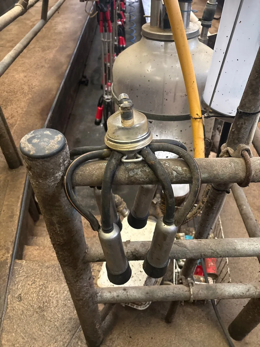 Second hand clusters - Image 1