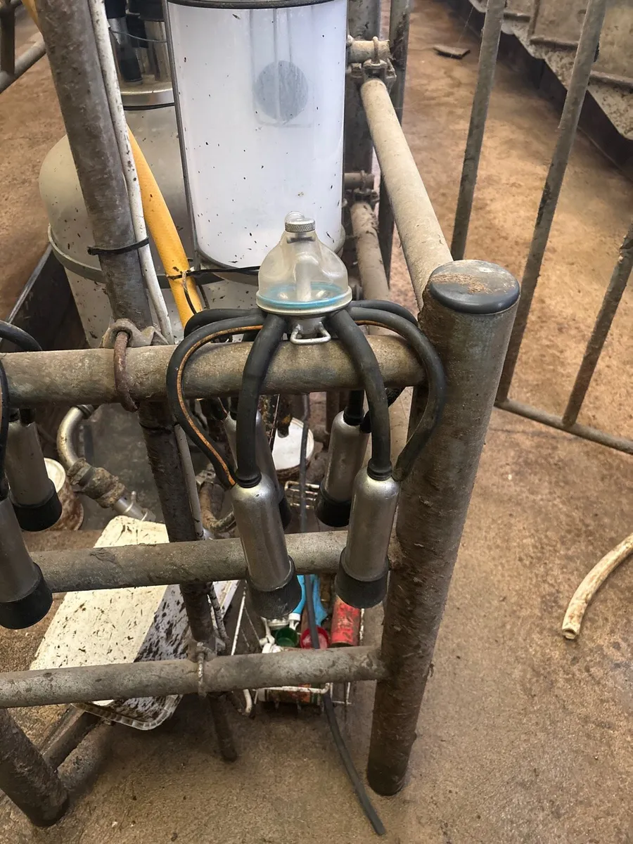 Second hand clusters - Image 2