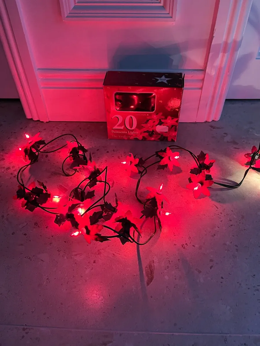 Christmas lights - Image 2