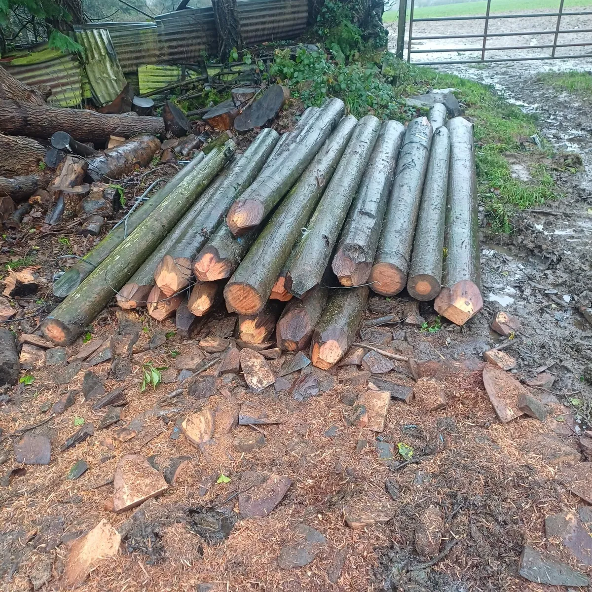 Straining posts - Image 1
