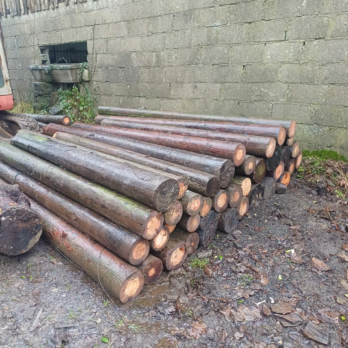 Straining posts - Image 3