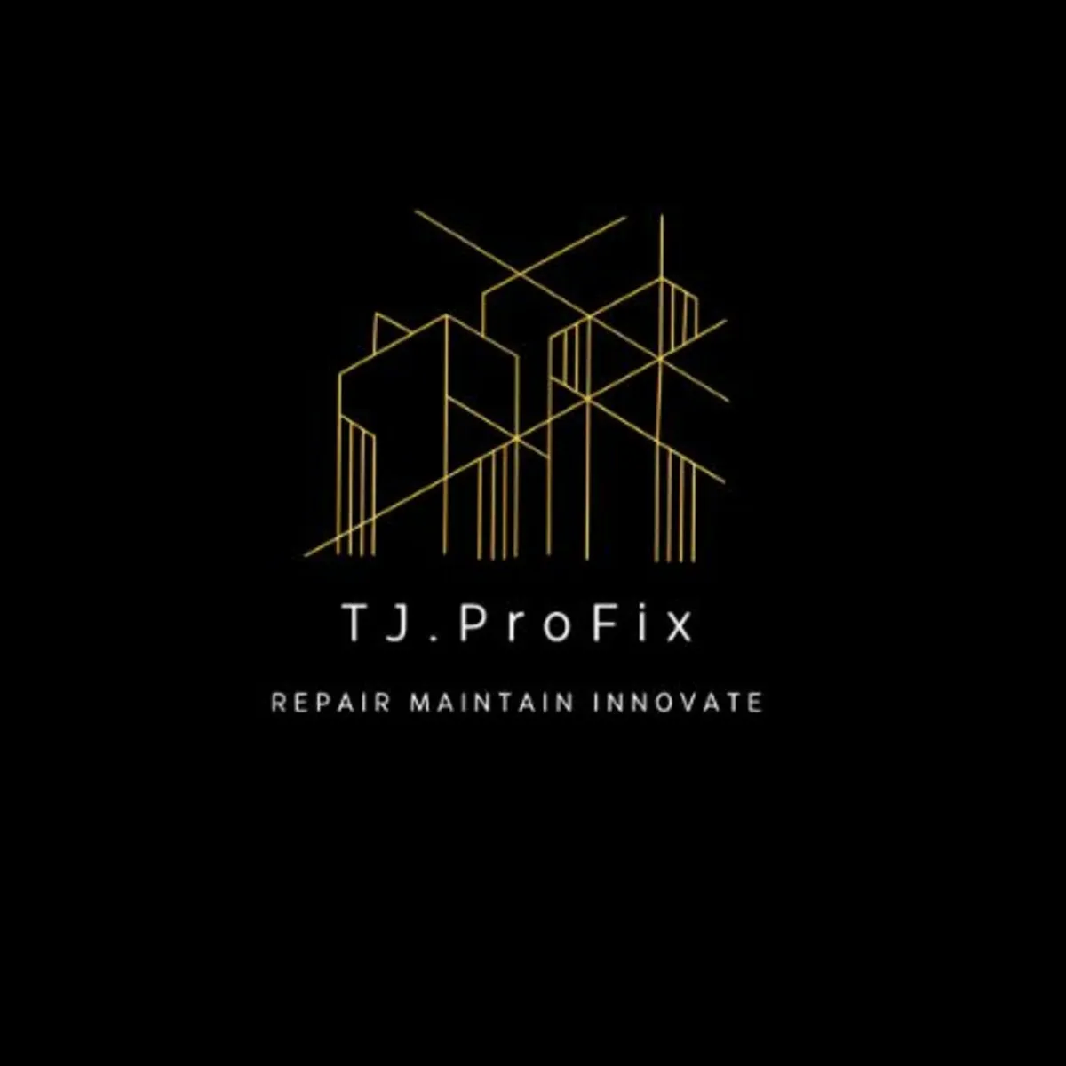 Handyman and Solutions Engineer - Image 1