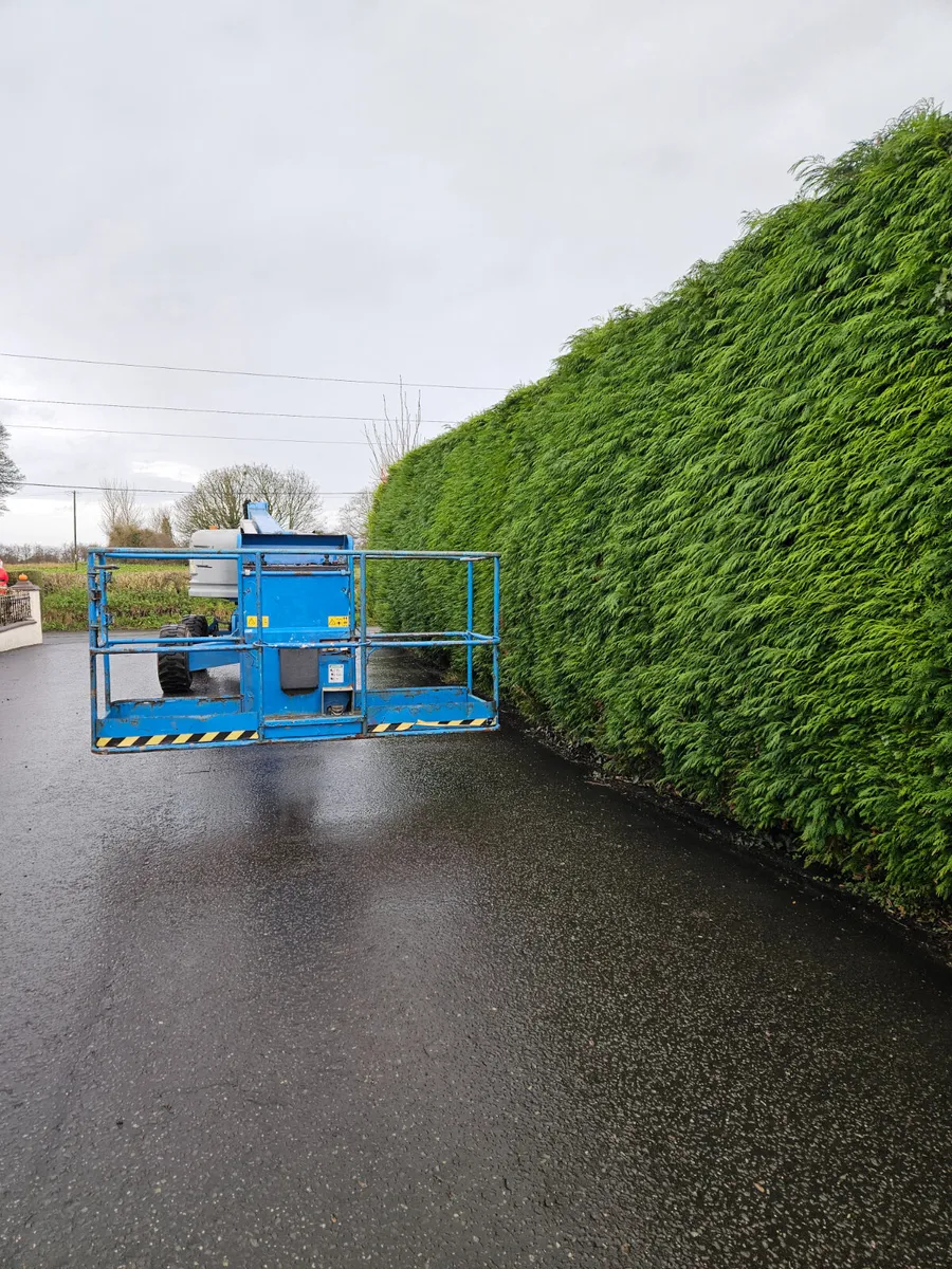 Genie S45 2016 - Image 2