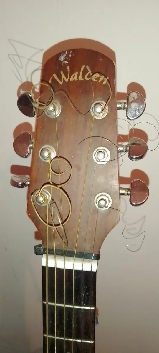 guitar - Image 1