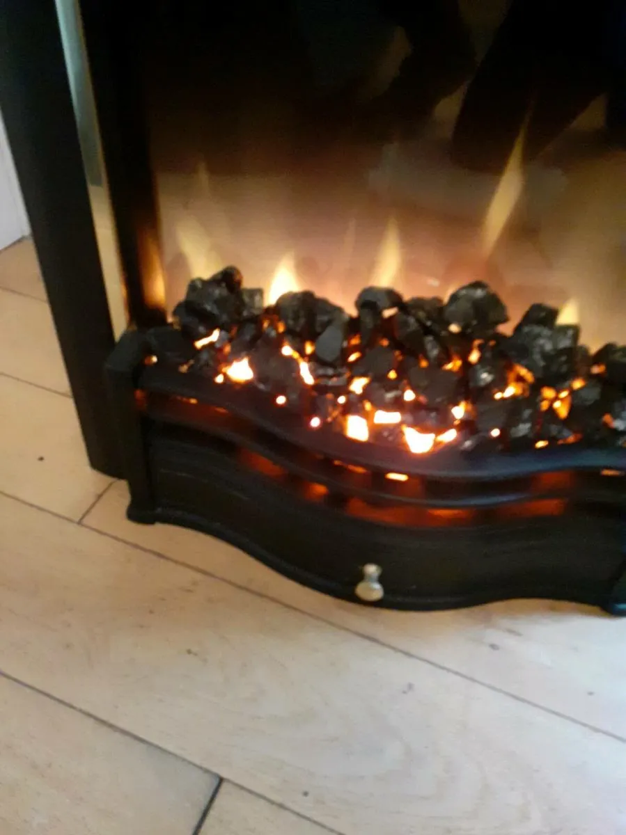 Dimplex Electric Fire - Image 3