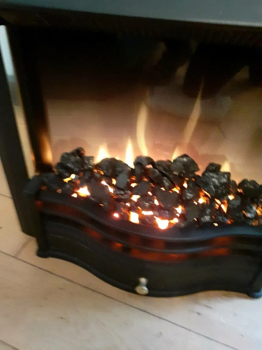 Dimplex Electric Fire - Image 4