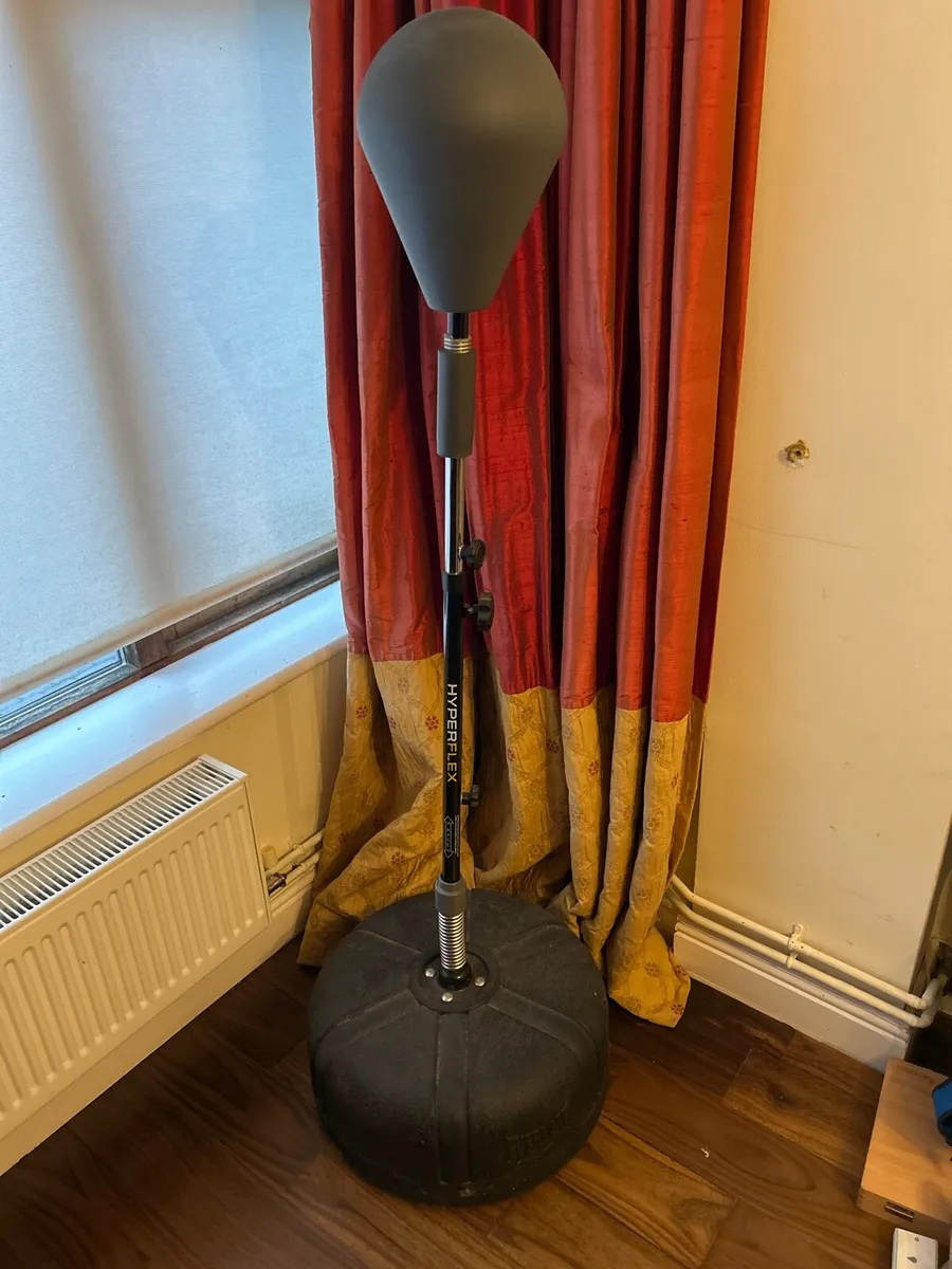 Rebound Punching Bag - Image 1