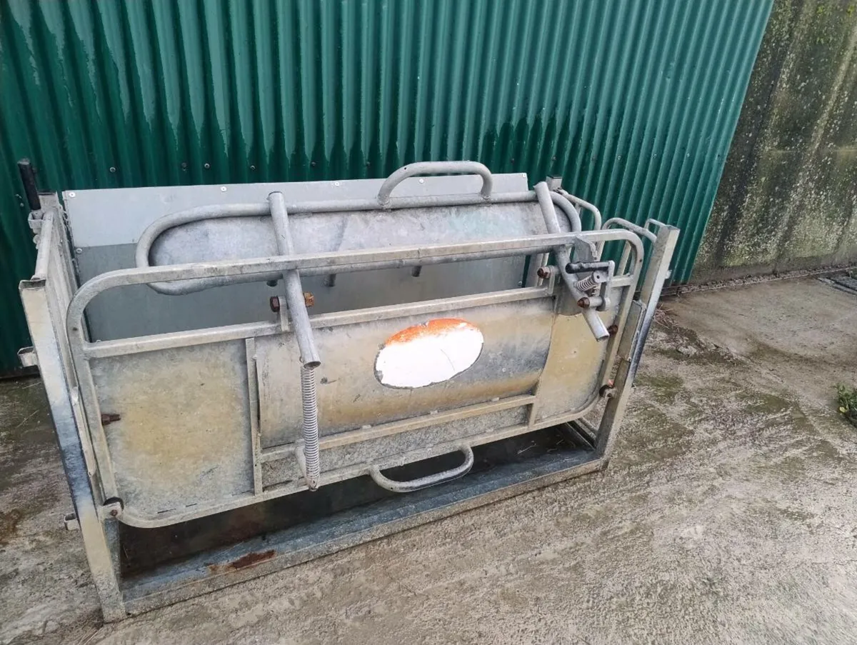 Cormac Turnover crate - Image 2