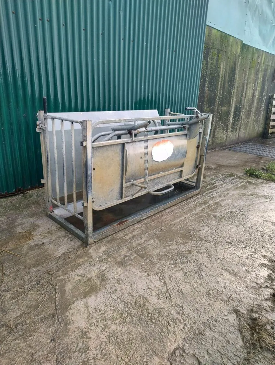 Cormac Turnover crate - Image 3