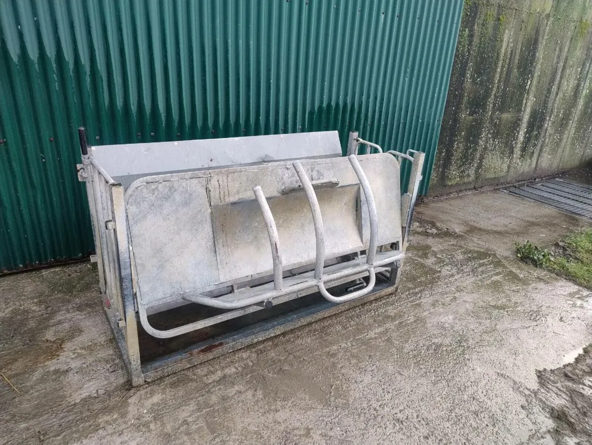 Cormac Turnover crate - Image 4