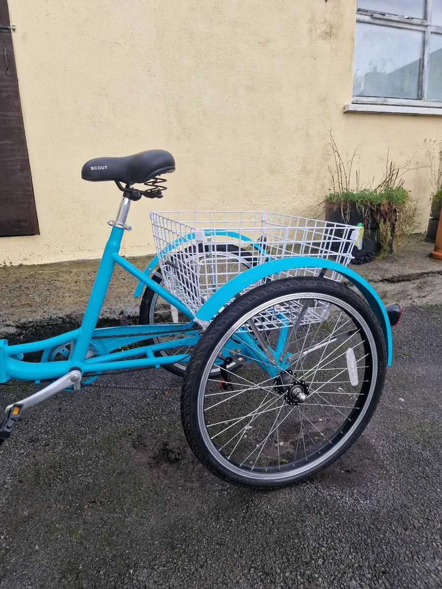 Tricycle - Image 4