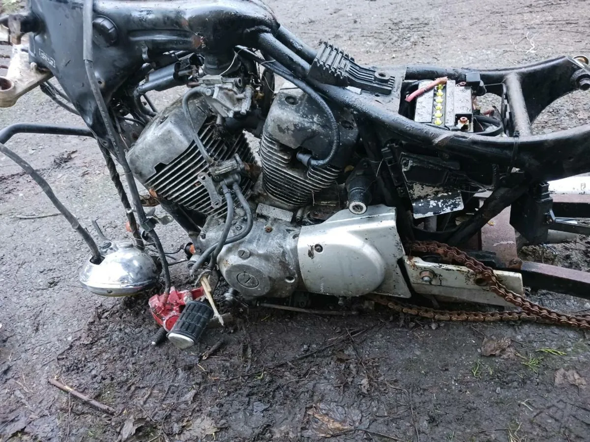 Yamaha virago winter project - Image 1
