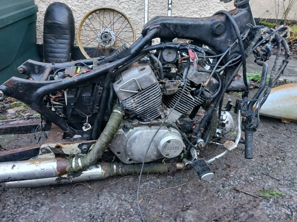 Yamaha virago winter project - Image 2