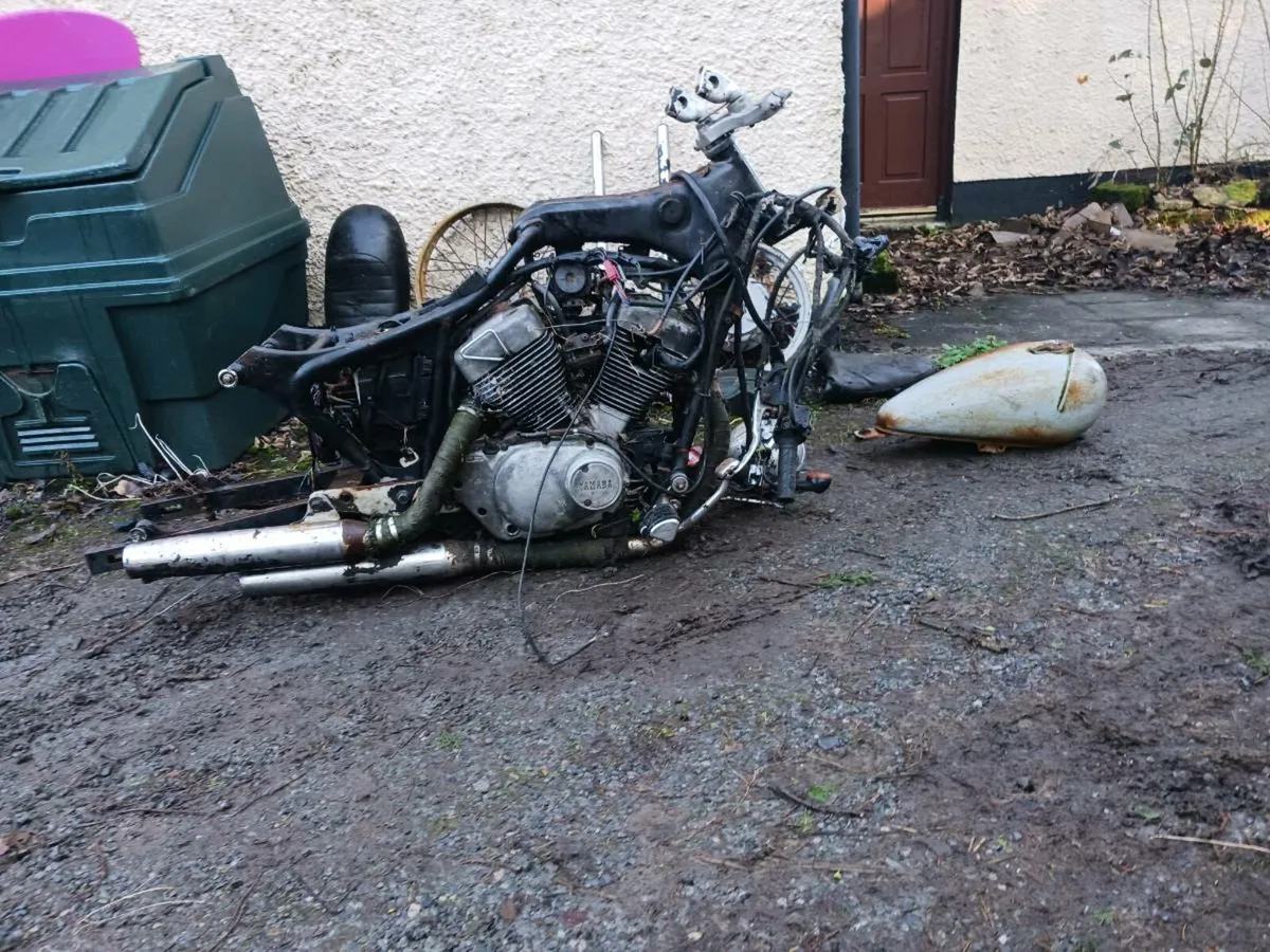 Yamaha virago winter project - Image 3