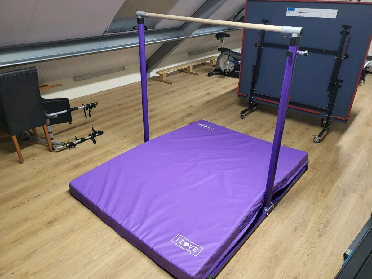 Gymnastics High Bar and Mat - Image 1
