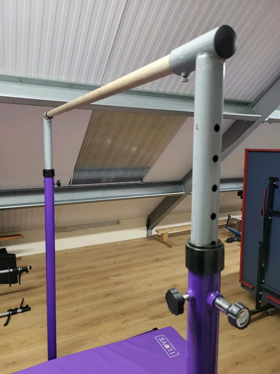 Gymnastics High Bar and Mat - Image 2