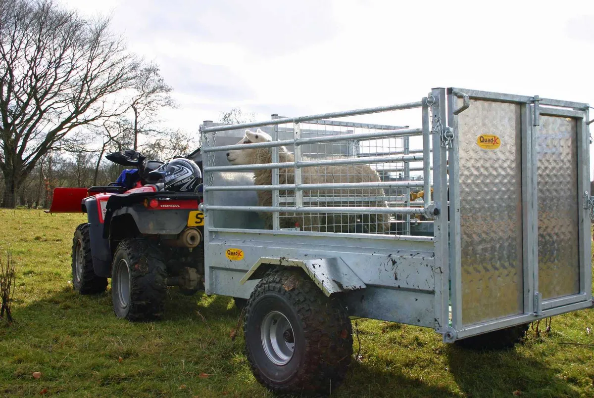ATV Sheep Trailer - 5x3'3 quad trailer - Image 1