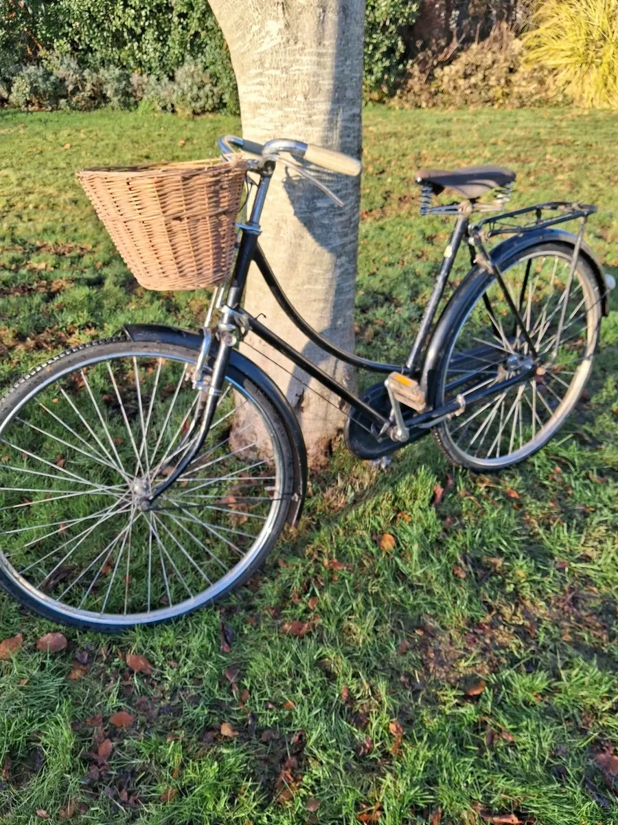 Bike High Nelly - Image 1