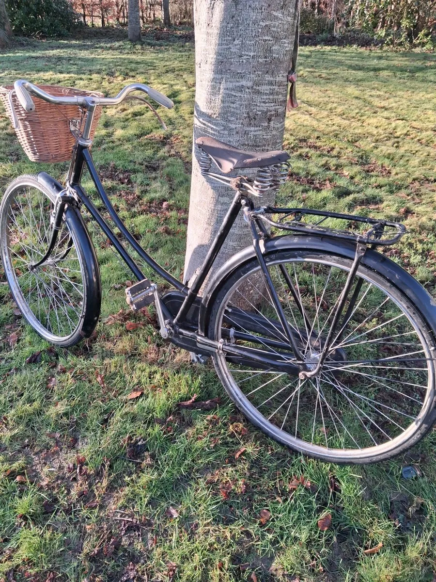 Bike High Nelly - Image 3