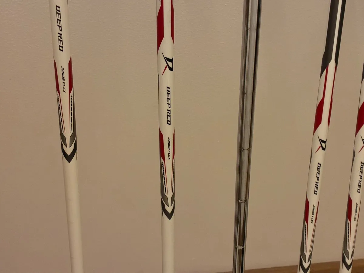 Junior Golf Clubs - Image 2