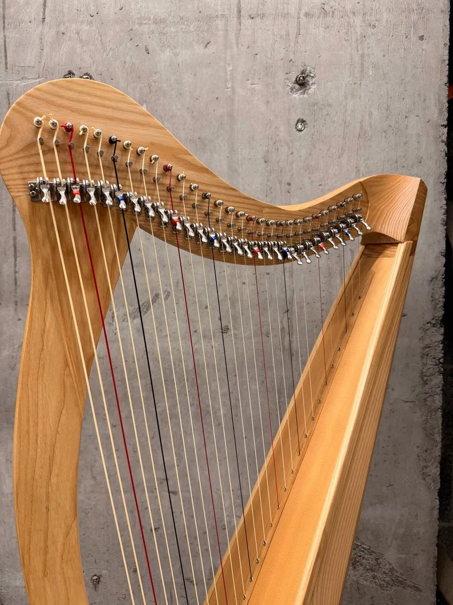 29 String Harp - Image 2
