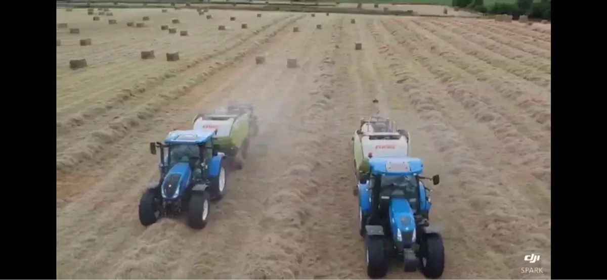 Hay & straw - Image 2