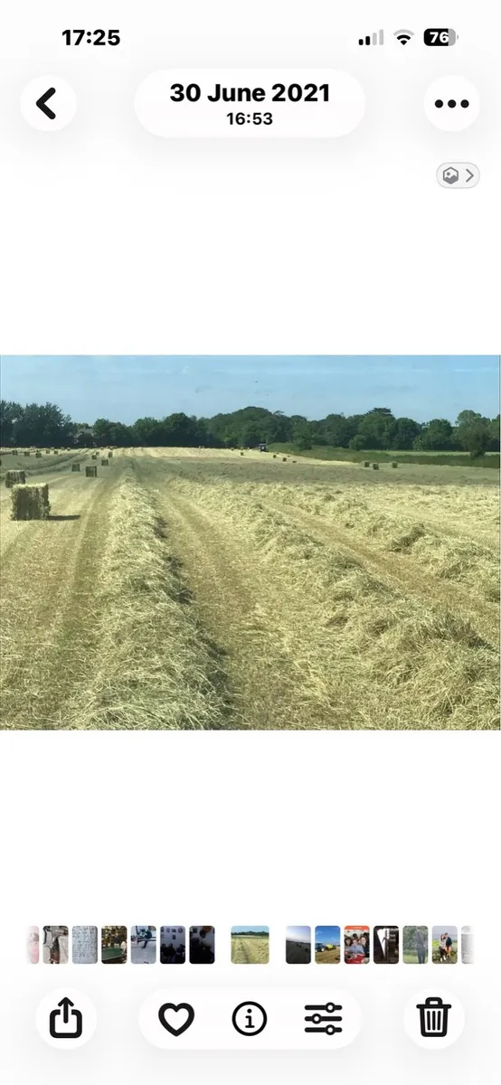 Hay & straw - Image 3