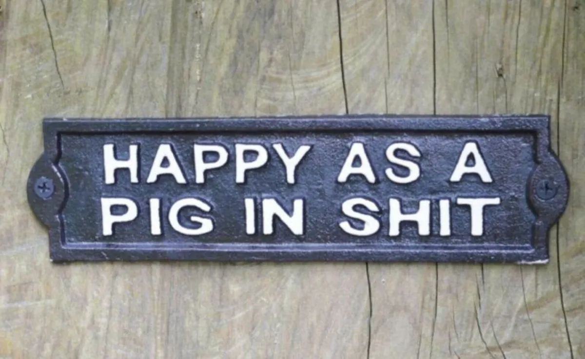 Happy as a pig in sh*t – D3522