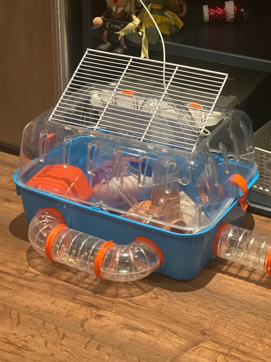 Hamster cage