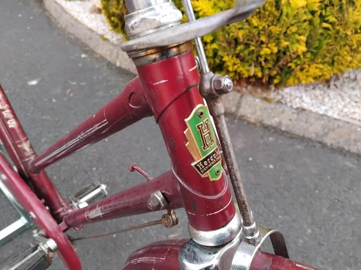 Vintage Hercules Bicycle - Image 2