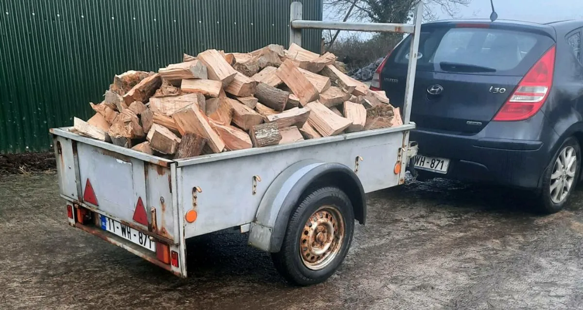 Firewood hardwood - Image 4