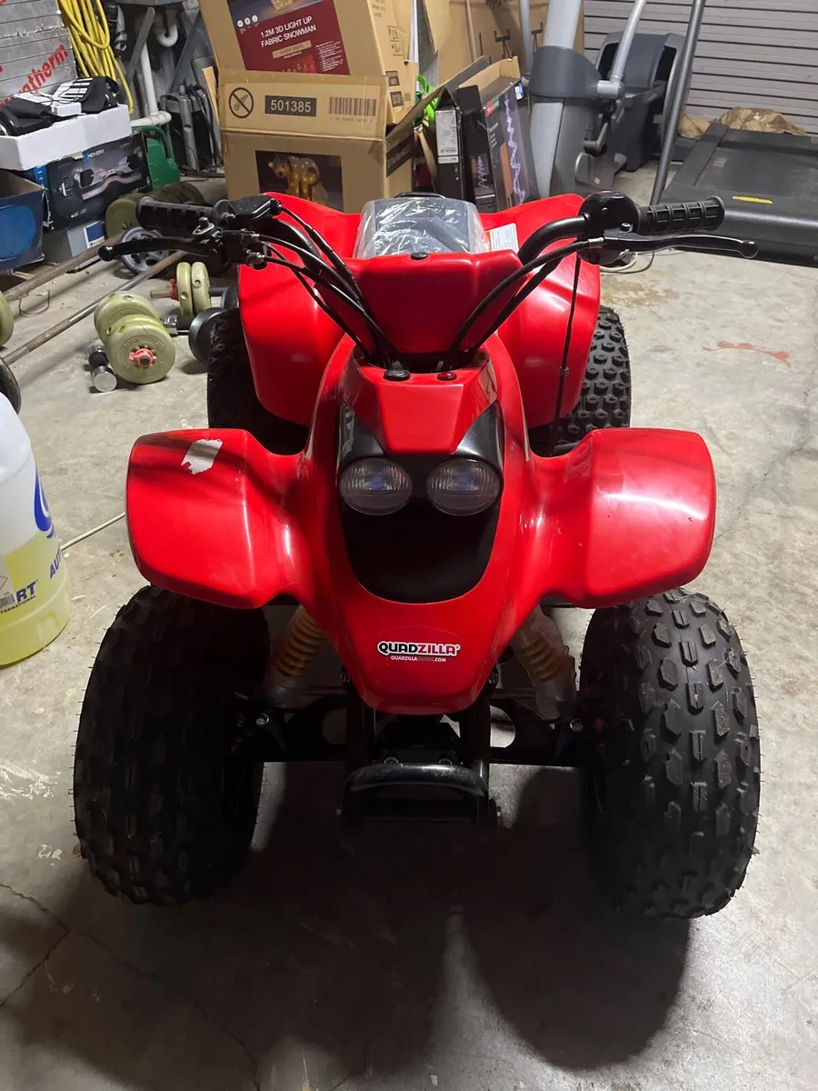 Quadzilla R100 - Image 2