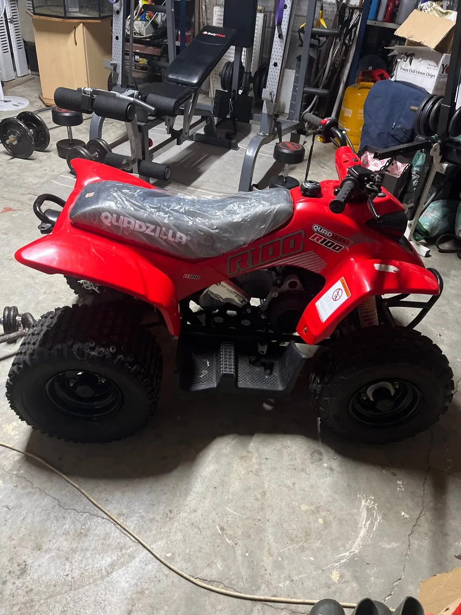 Quadzilla R100 - Image 3
