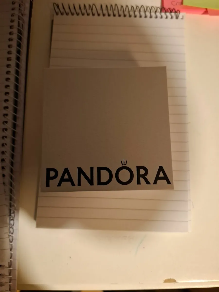 Pandora Bracelet - Image 2
