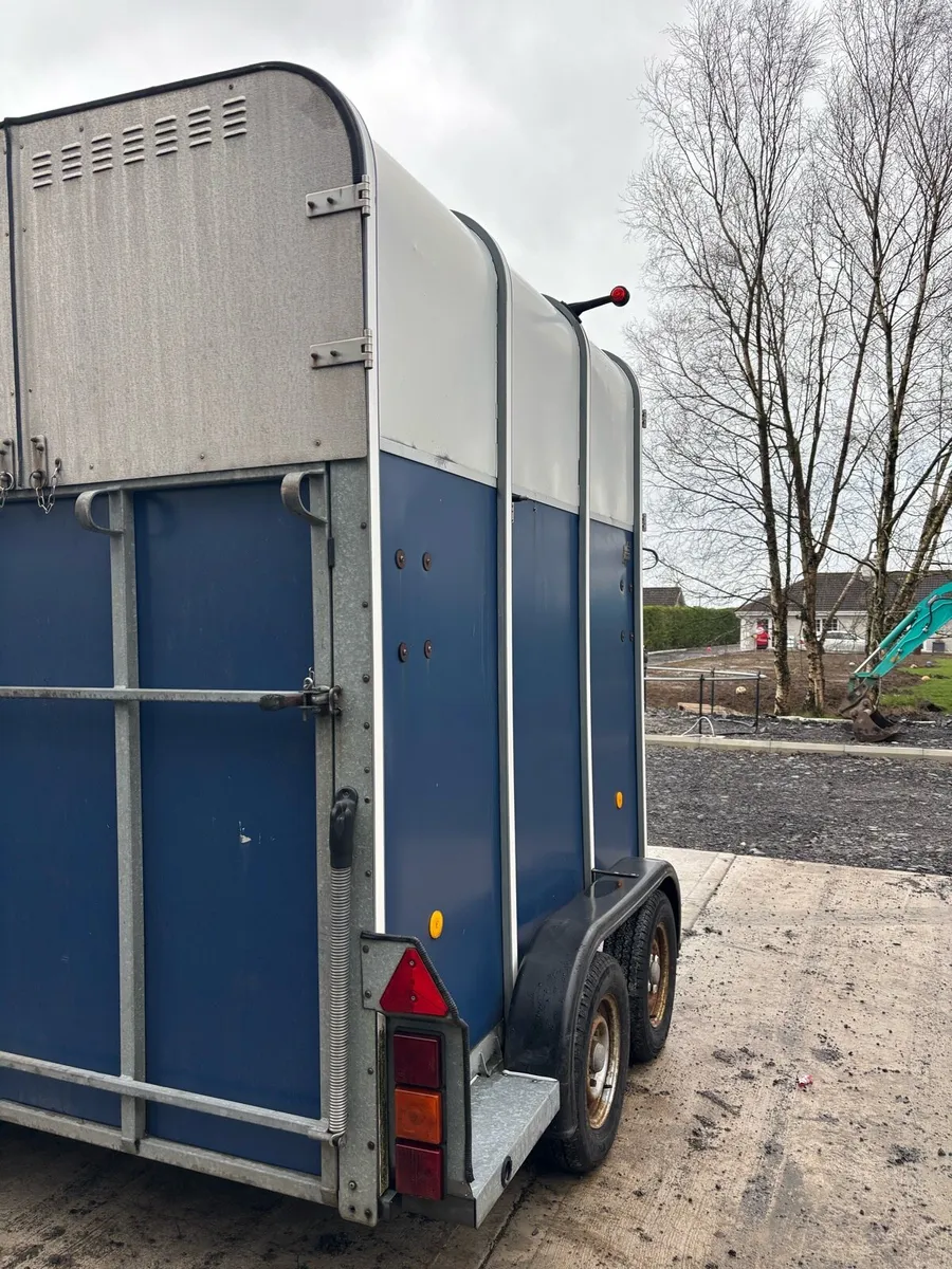 I for Williams horse box - Image 3