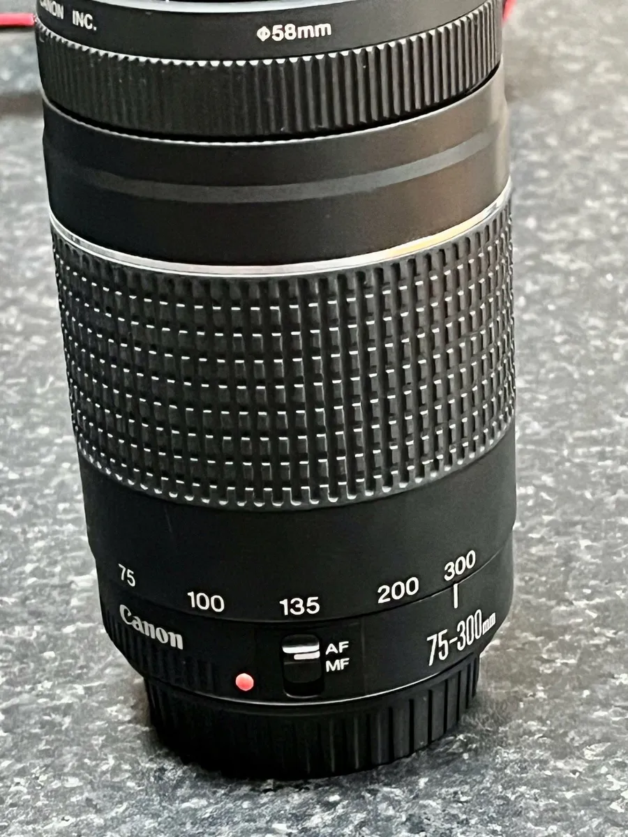 Canon Digital Camera for Sale - Image 4