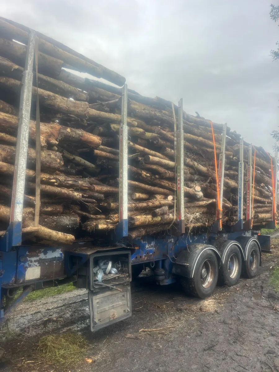 Artic load ash timber - Image 1