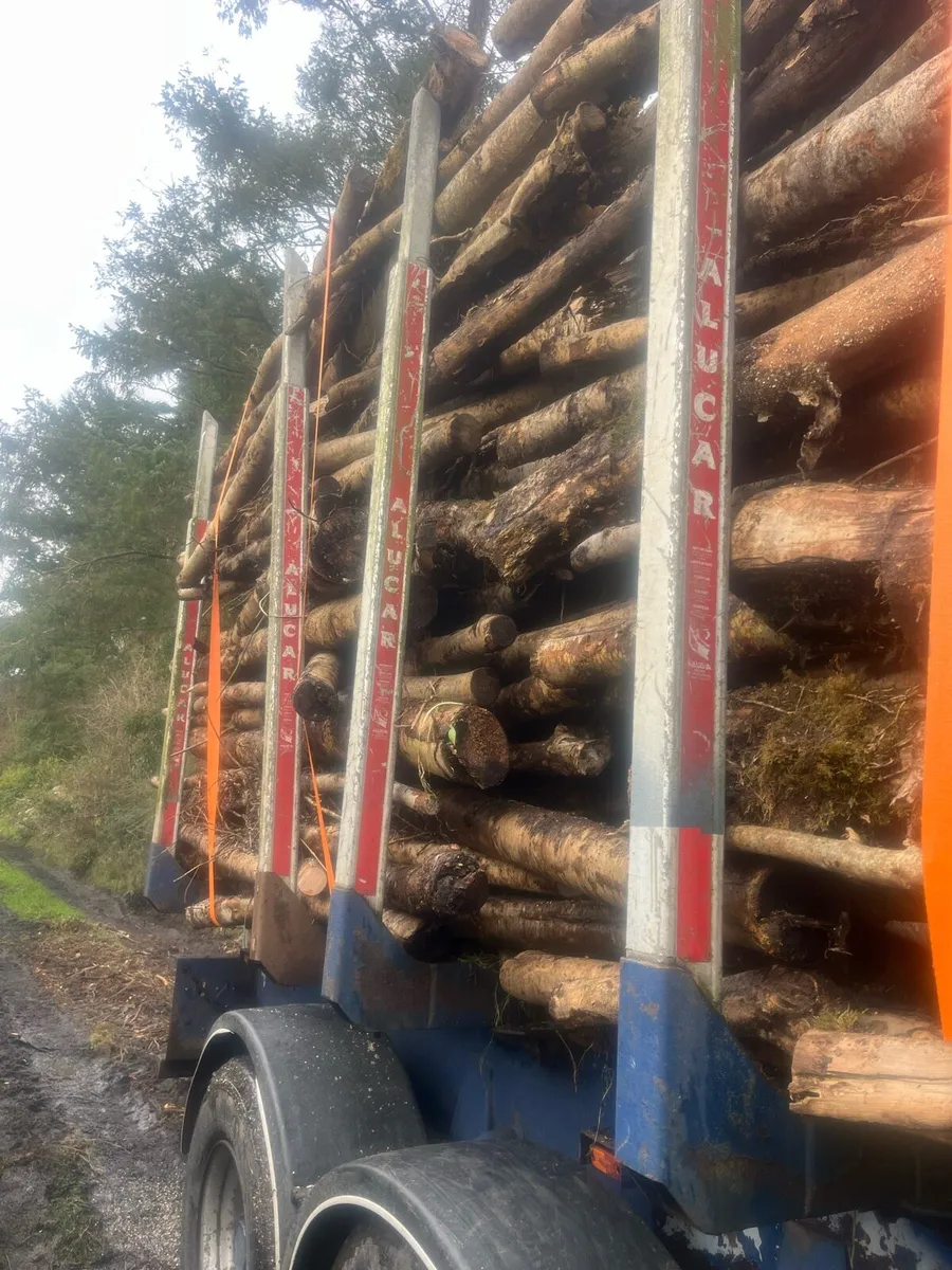 Artic load ash timber - Image 2
