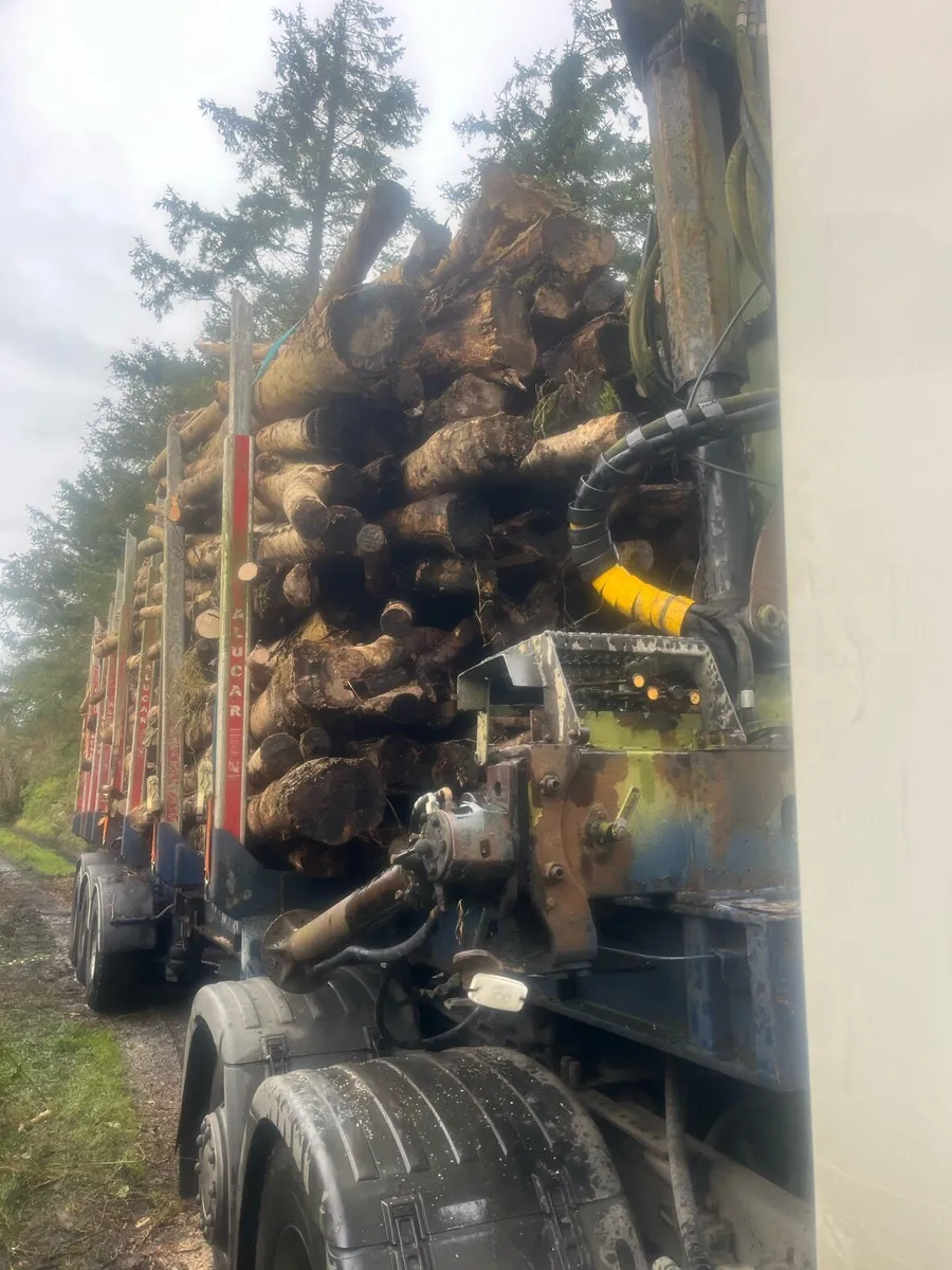 Artic load ash timber - Image 3