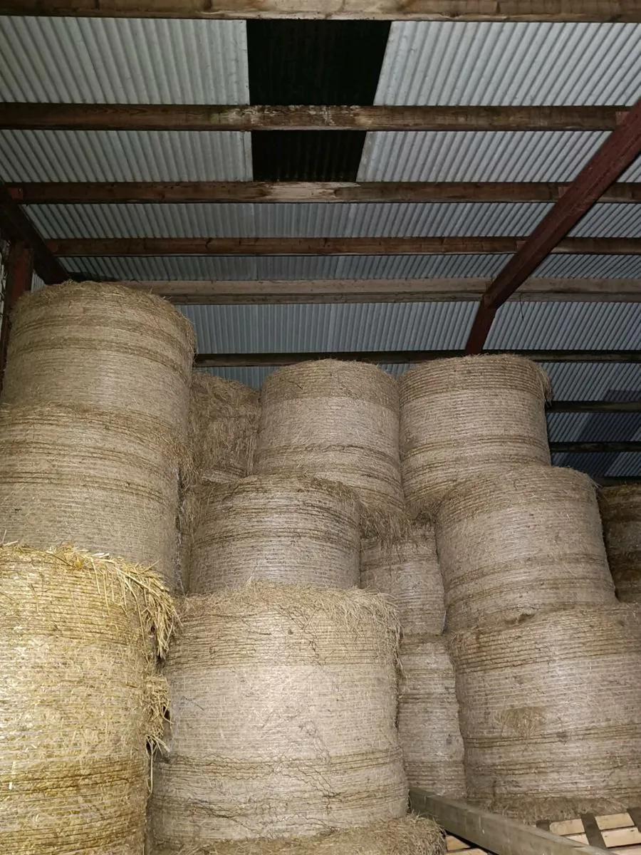 Round bales of hay