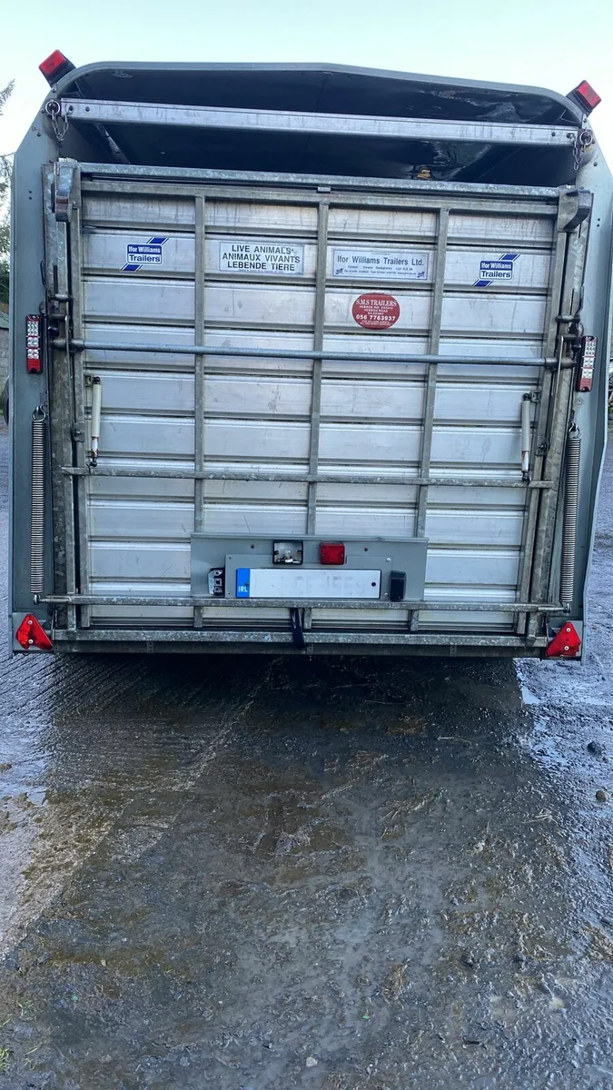 12×5'10 Ifor Williams Cattle Box with Sheep Decks - Image 3