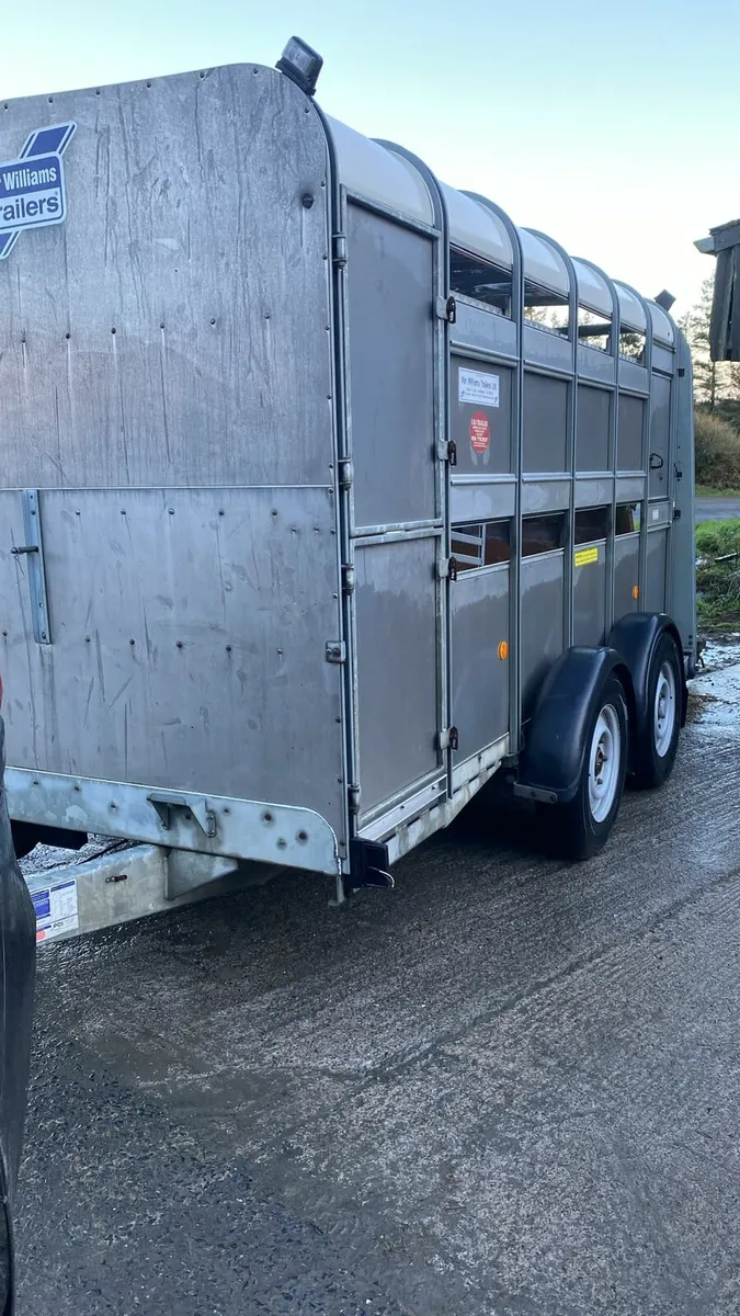 12×5'10 Ifor Williams Cattle Box with Sheep Decks - Image 4