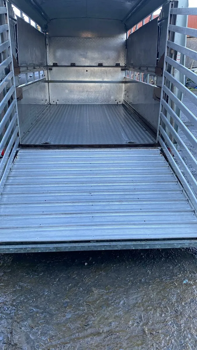 12×5'10 Ifor Williams Cattle Box with Sheep Decks - Image 2