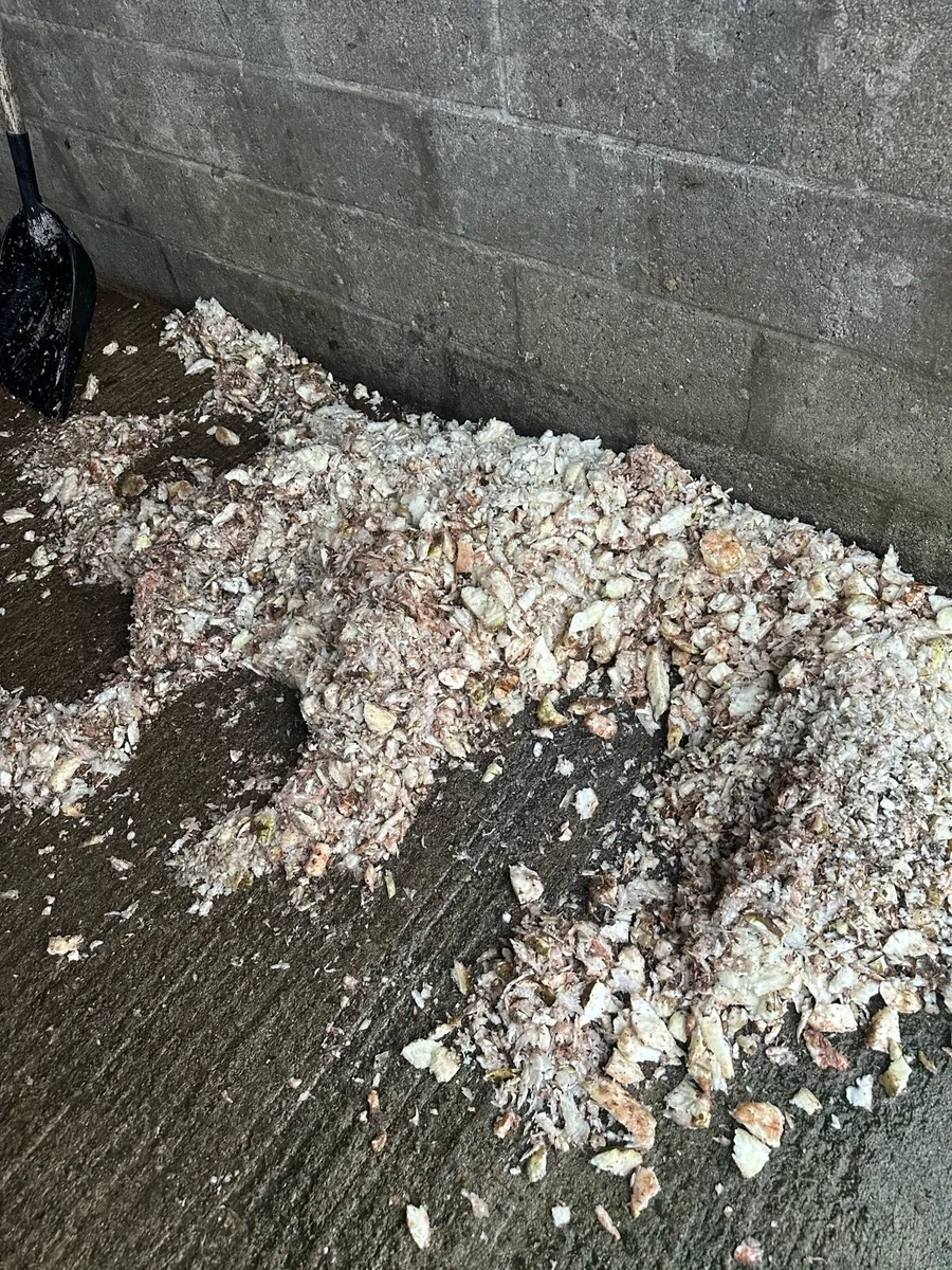 Beet chopper - Image 3