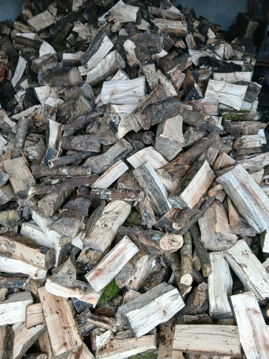 Beech timber - Image 1