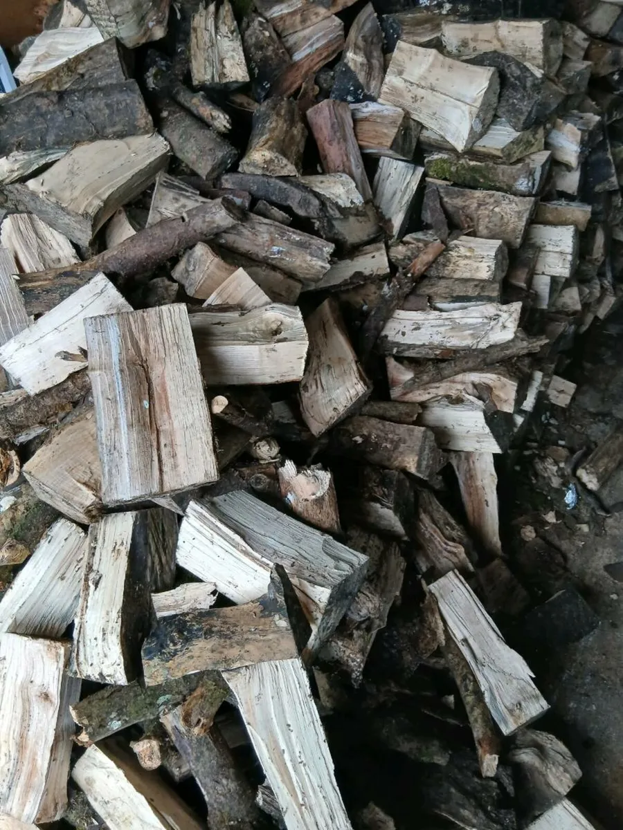 Beech timber - Image 3